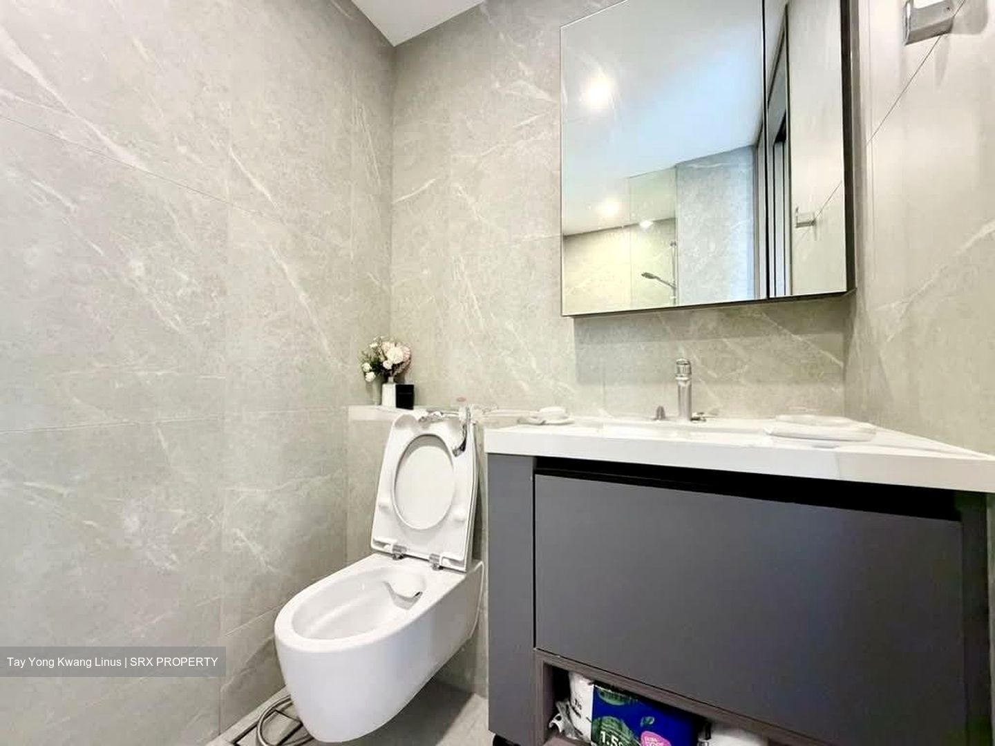 One-north Eden (D5), Apartment #557128341